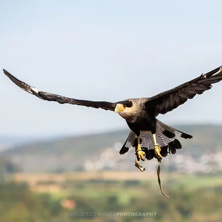 בית נופש Wohnen Auf Der Ritterburg *
