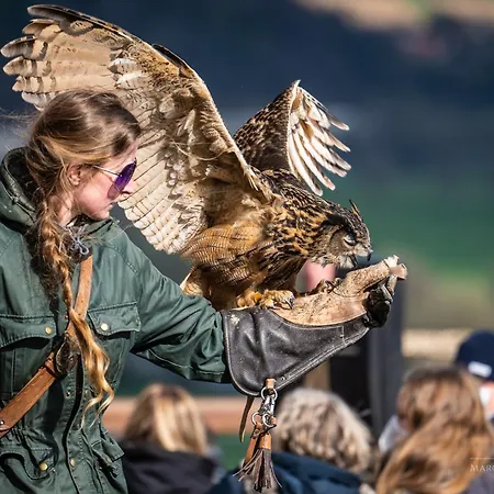 Wohnen Auf Der Ritterburg בית נופש *
